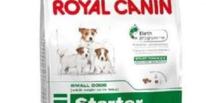 Royal Canin Mini Starter