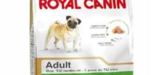 Royal Canin Pug Adult