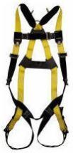 Safety Harness