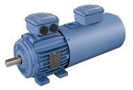 Inverter Duty W21 Cast Iron Frame