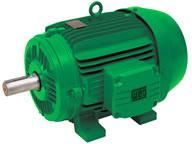 W21 - Cast Iron Frame - MEPS South Korea