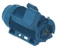 W50 High Voltage Motors