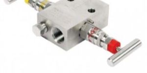 Two Valve Manifold - G2 VMPTM 1