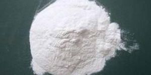 Carboxymethyl Starch (CMS)