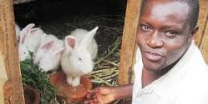 Rabbit Farm Management Advisor
