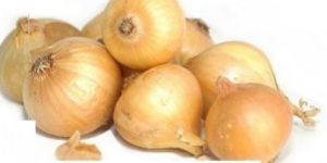Fresh Yellow Onion