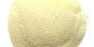 Xylanase Powder