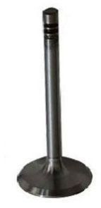 Generator Engine Valve