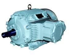 Hazardous Area Motor