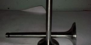 Diesel Engine Valve Petter