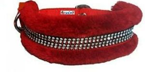Dog Collars