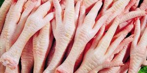 Frozen Chicken Feets