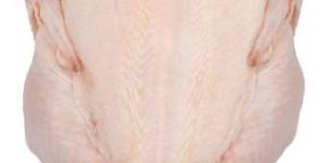 Frozen Chicken Griller