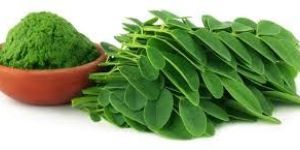 Moringa Powder