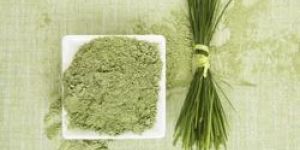 Wheat Grass Powder