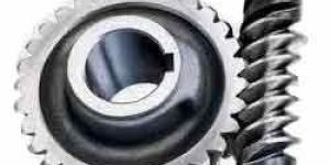 Worm Gears
