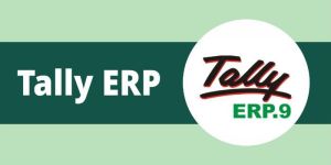 Tally ERP 9 Silver Software