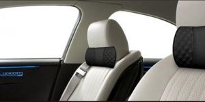 Neck Supporter & Cushions