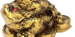 Fengshui Frog Show Piece