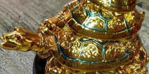 Vastu Triple Turtle