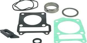 Oil Seal Gasket