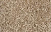 Cut Pile Carpet