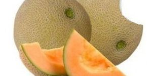 Fresh Musk Melons