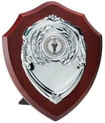 Wooden Single Plate Shield