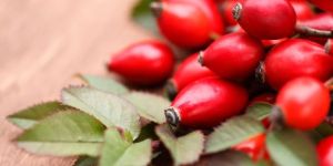 Rose Hip Extract Capsule