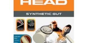 String (HEAD) - Synthetic Gut PPS