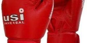USI Immortal Amateur Competition Boxing Gloves