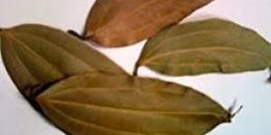 Bay Leaves