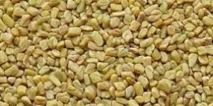 Fenugreek Seeds