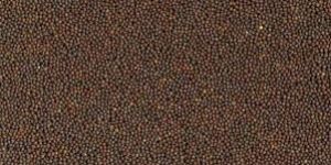 Mustard Seeds