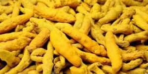 Turmeric Fingers
