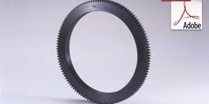 Steel Ring Gears (Spur Gears)