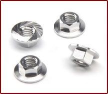 Flange Nuts