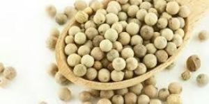 White Pepper Seeds