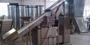 Fruit & Vegetable Winnowing Machine