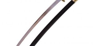 Naval Cutlass Swords