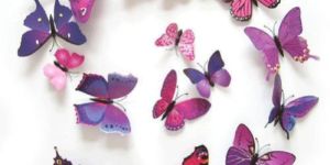 Wall Decoration PVC Sticker