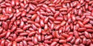 Red Kidney Beans