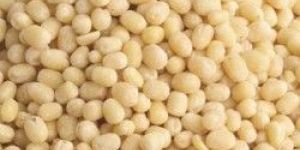 Washed Whole Urad Dal