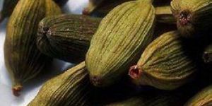 Green Cardamom Pods