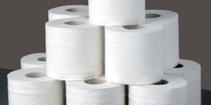 Toilet Paper Rolls