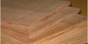 Plywood