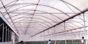 Green House Structure