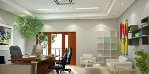 Office Interior Designing Services