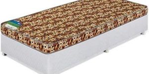 Coir Mattress