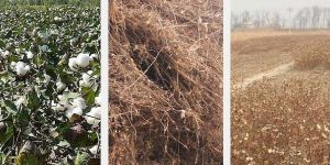 Cotton Straw Shredder